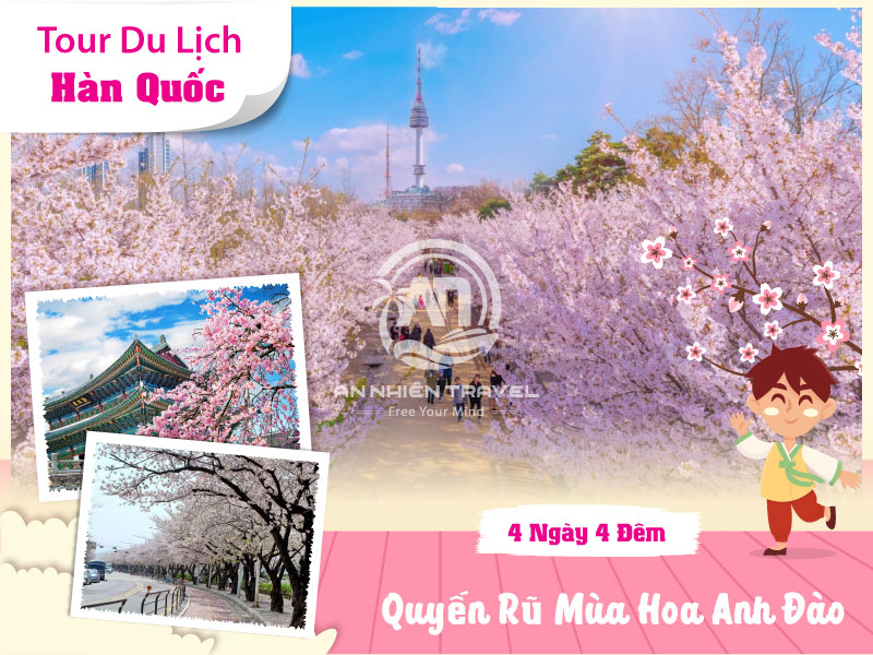 Tour du lịch Hàn Quốc - Quyến rũ mùa hoa Anh Đào